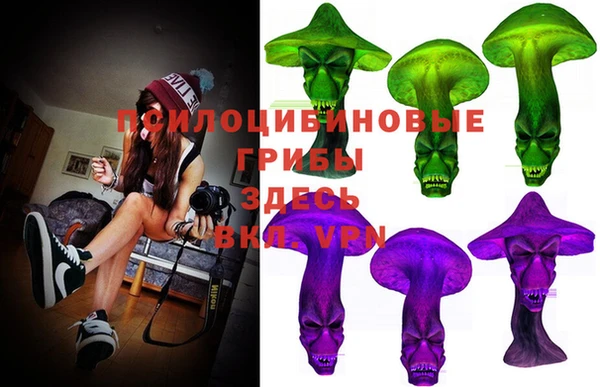 прущий лед Кукмор
