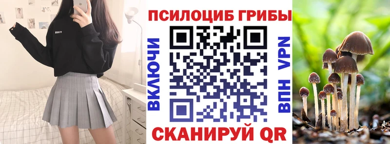 ссылка на мегу вход  Куровское  Галлюциногенные грибы ЛСД 